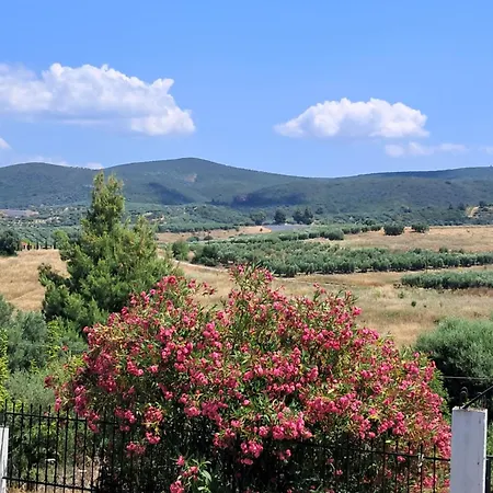 Villa Elia House *